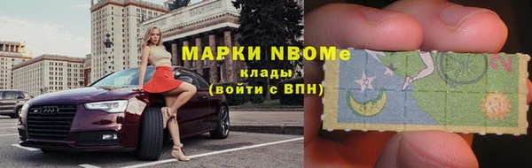 гашик Алексин