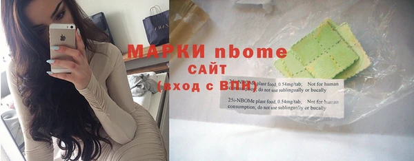 гашик Алексин