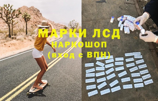 гашик Алексин