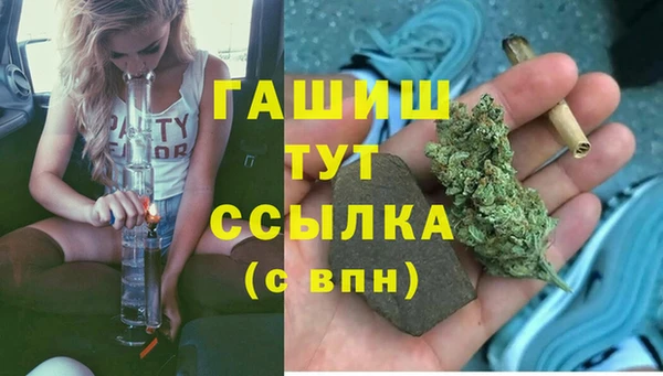 гашик Алексин