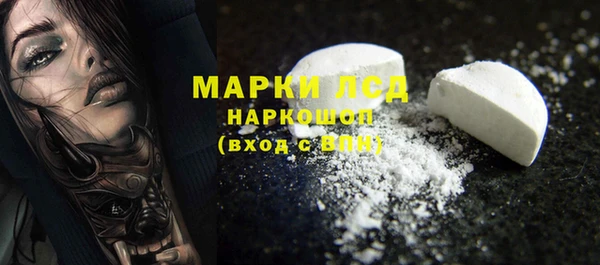 гашик Алексин